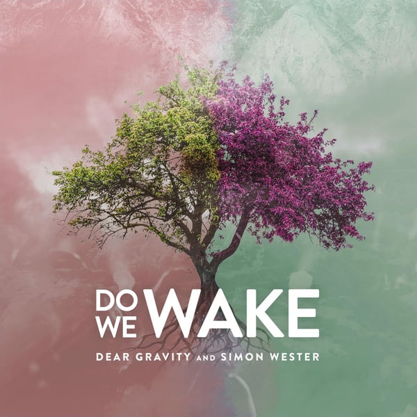 Do We Wake image