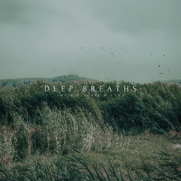 Deep Breaths (YVMV Remix) image