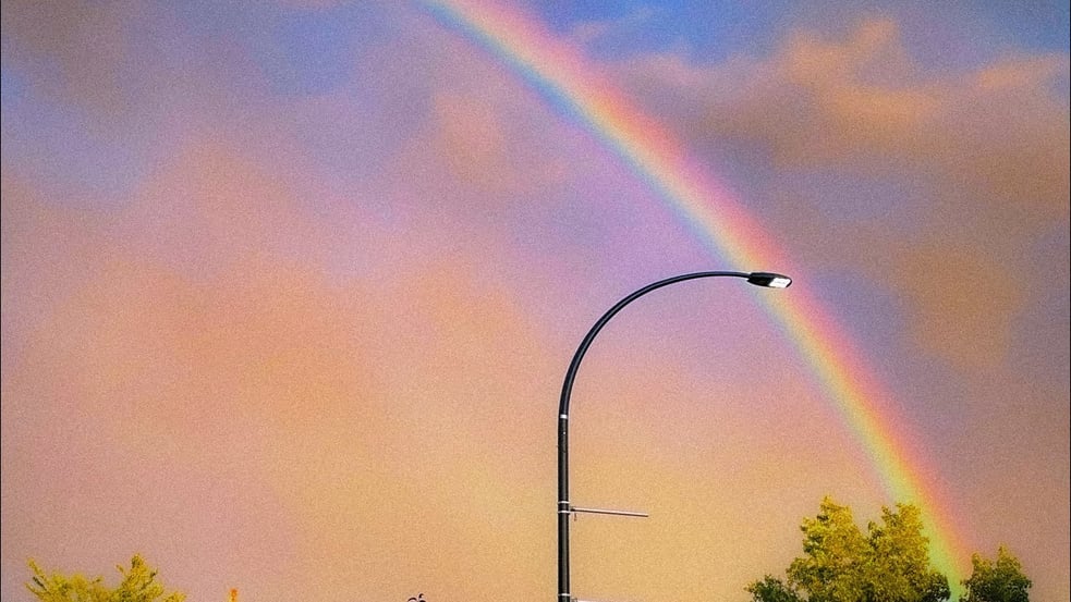 XAVIER EUPHORY - LE FOND