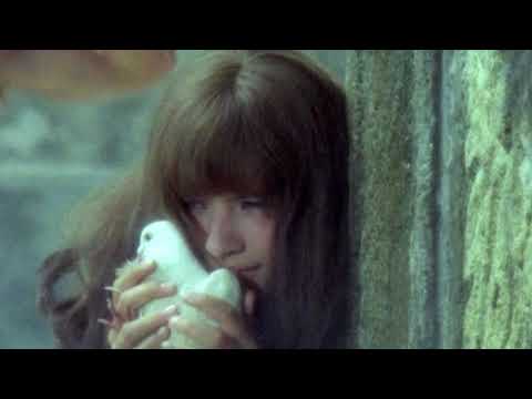 nevermeant2beanything