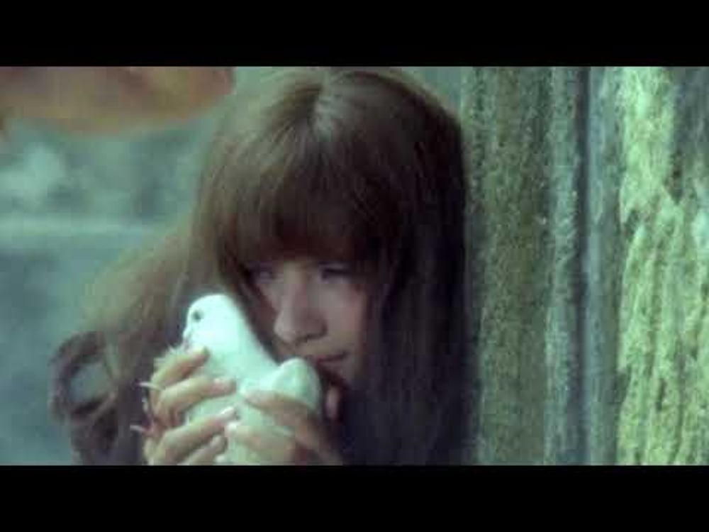 nevermeant2beanything