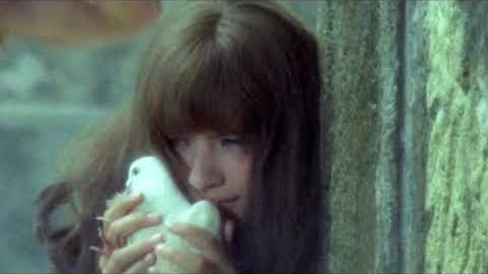 nevermeant2beanything