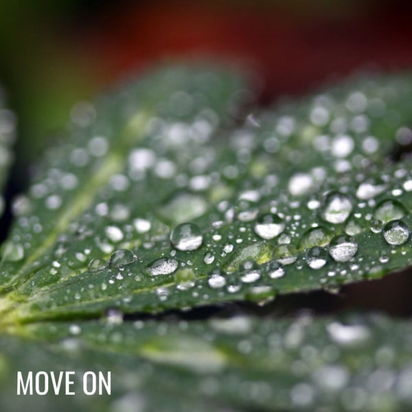 Move On image