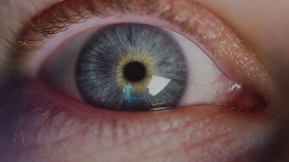 birdshield - biology