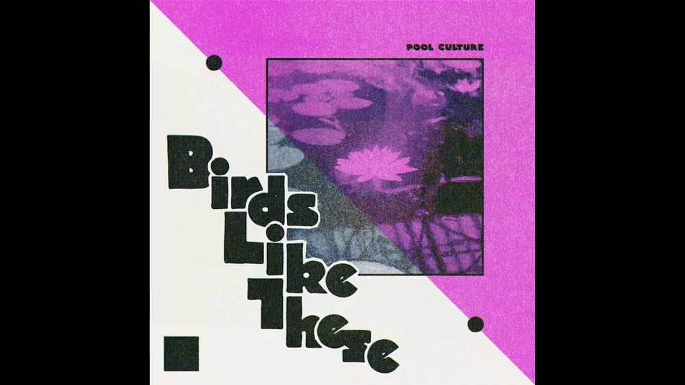 Birds Like These