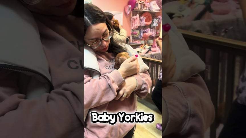 🐾 WARNING: ENTER AT YOUR OWN RISK 🐾