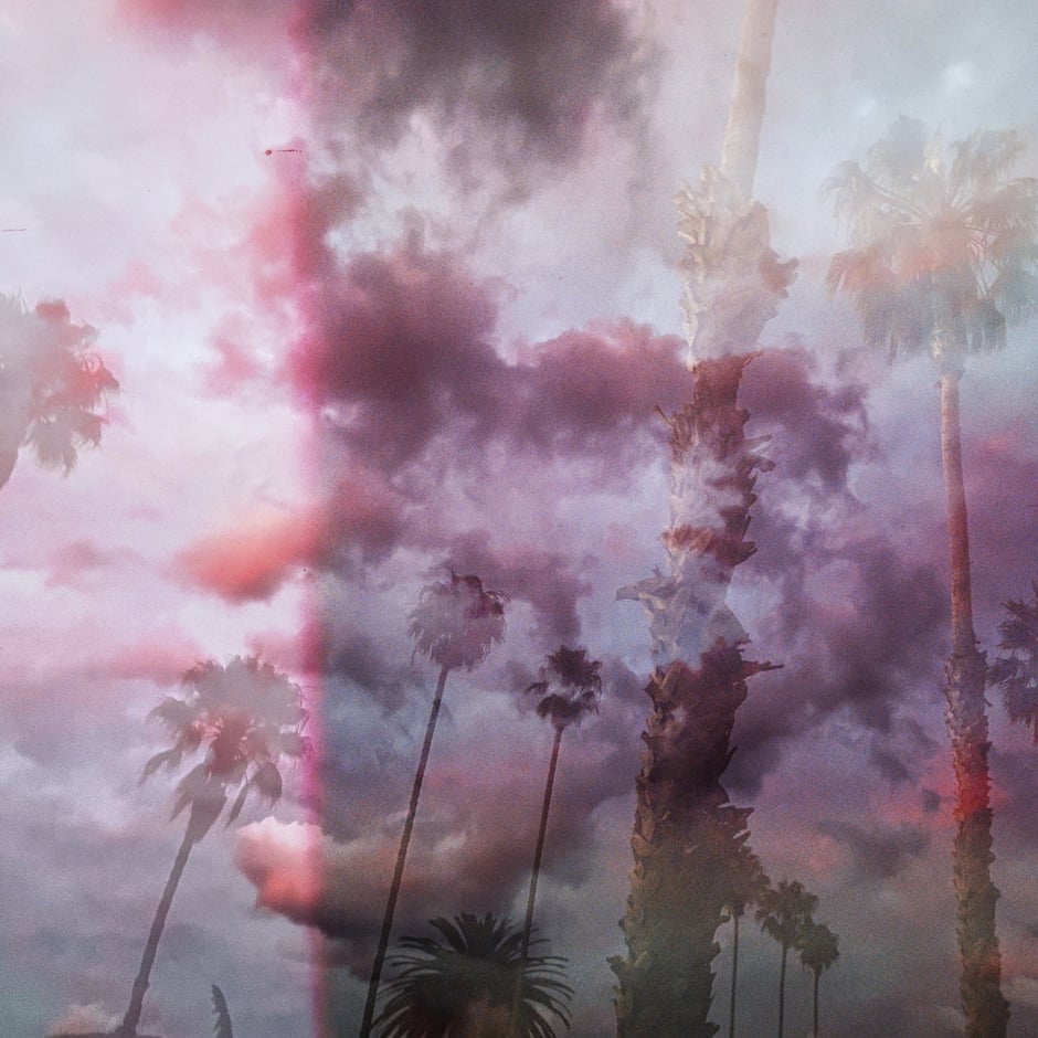 Wolf & The Dog / Black Wing