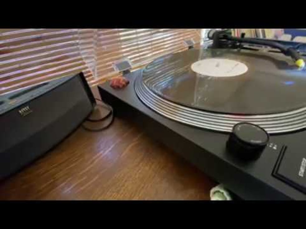 Test Pressing! MEN ARE MONKEYS. ROBOTS WIN. Season to Risk 2020