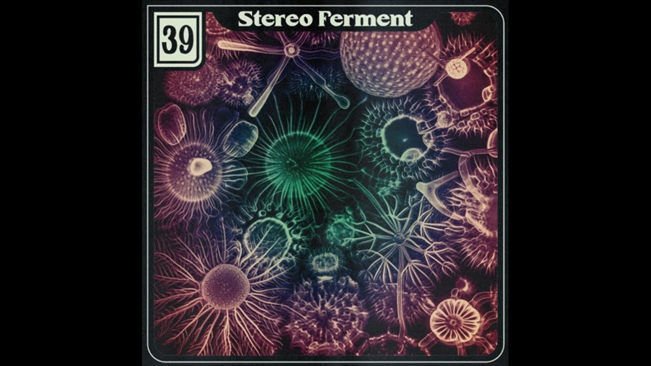 Stereo Ferment #39: italo disco, balearic, house