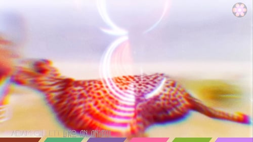 Adam Gillett - Like An Animal (Official Visualiser)