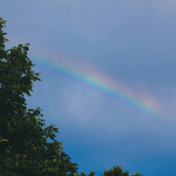 Rainy Days Turn Sunny image