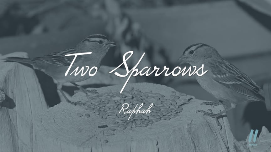 Two Sparrows - Raphah // Ambient Music