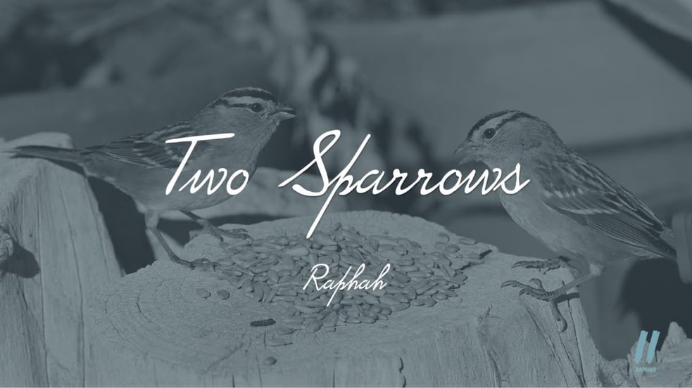 Two Sparrows - Raphah // Ambient Music