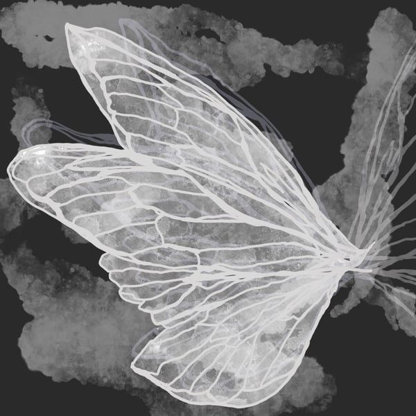 Gossamer (Vines version) image