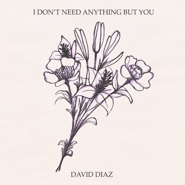 I Don't Need Anything But You image