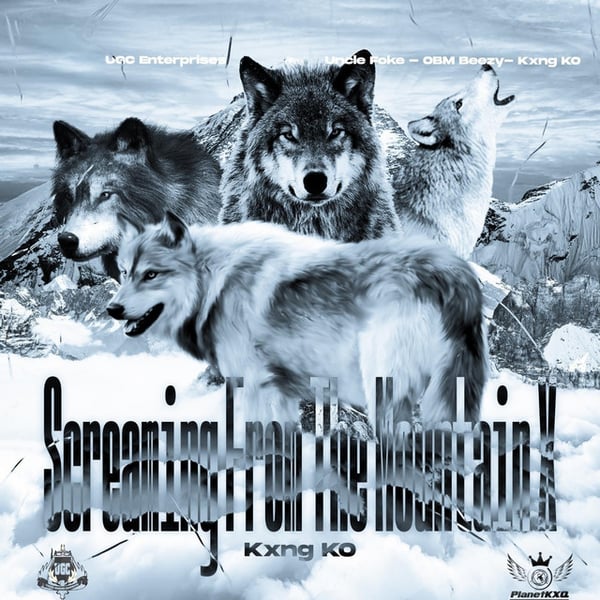 Screaming from the Mountain X image