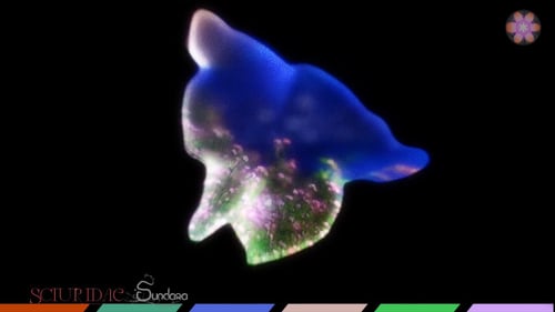 Sciuridae - Sundara (Official Visualiser)