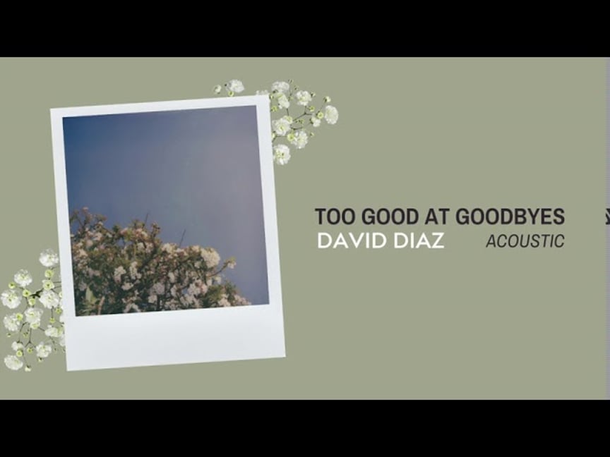 Sam Smith - Too Good At Goodbyes (Acoustic Cover by David Diaz)