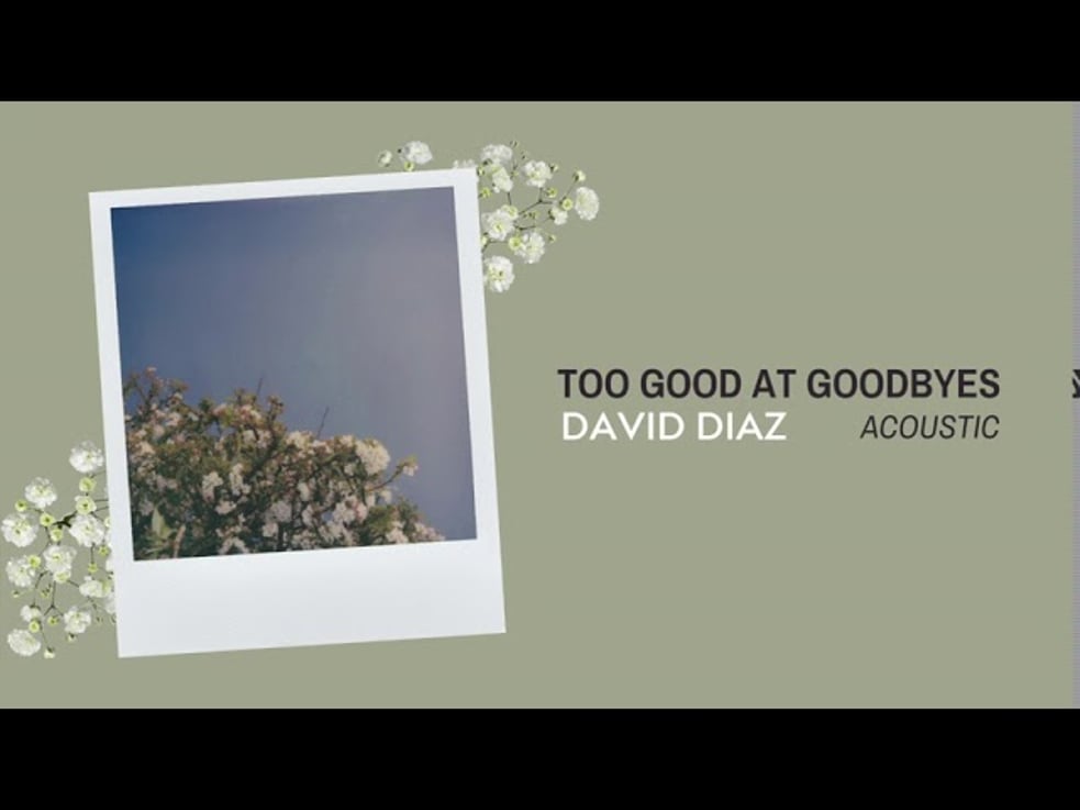 Sam Smith - Too Good At Goodbyes (Acoustic Cover by David Diaz)