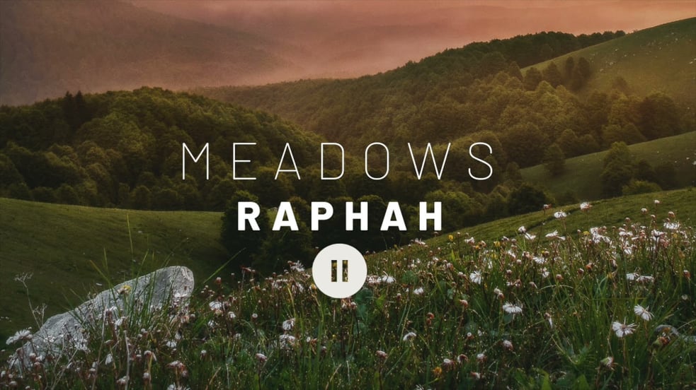 Meadows - Raphah // Ambient Music
