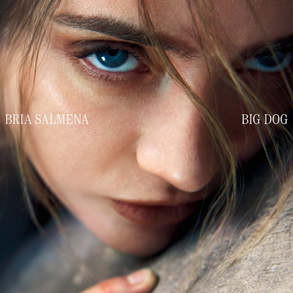 Big Dog image
