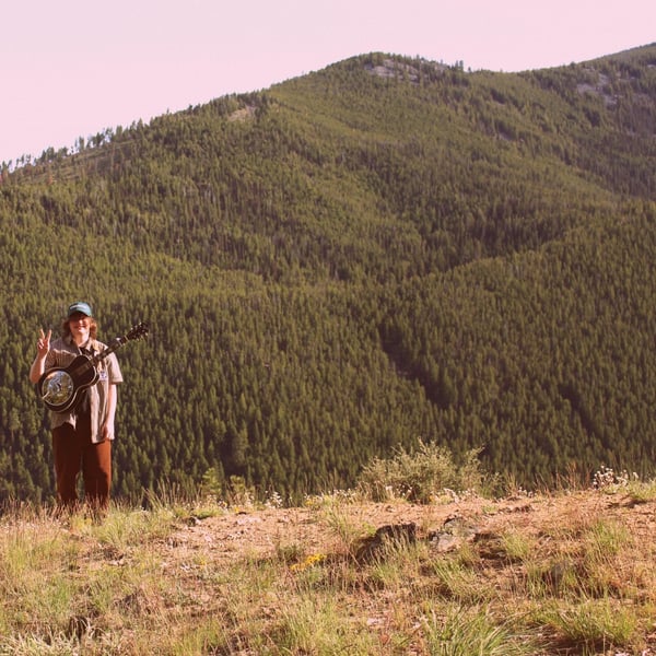 The Country Album image