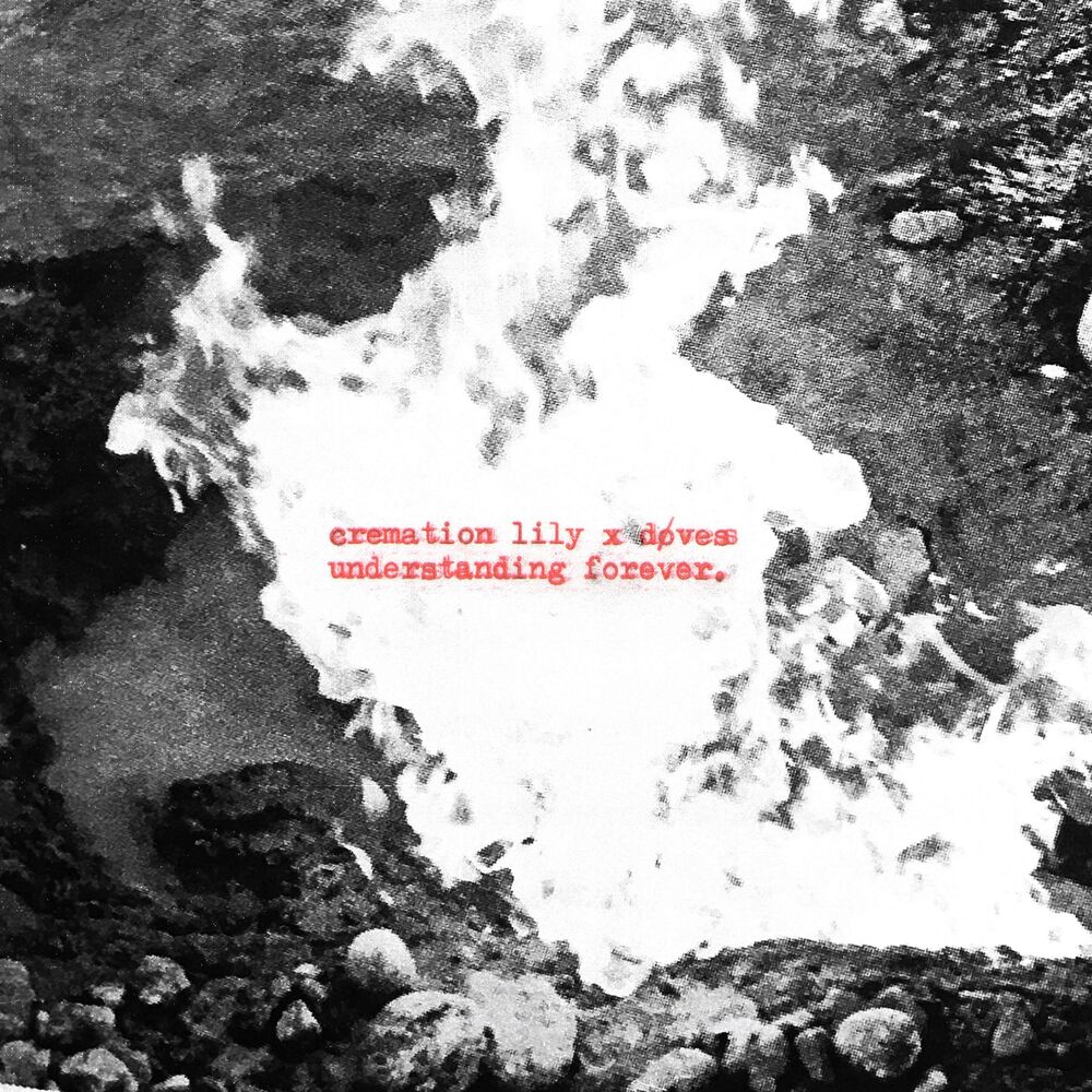 Understanding Forever (feat. døves)