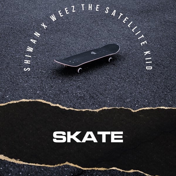 Skate image