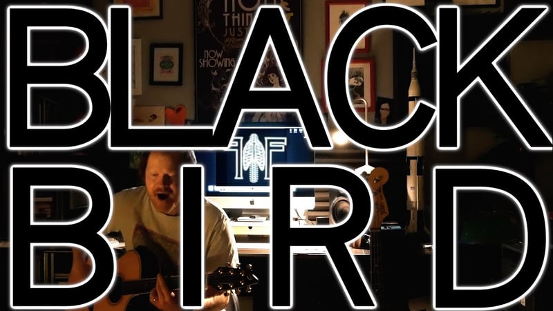 The Beatles - Blackbird X Dosed Red Hot Chili Peppers Mashup (Cover by Faith in Foxholes)