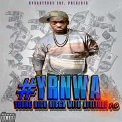 Young Rich N***a With Attitude 1.0