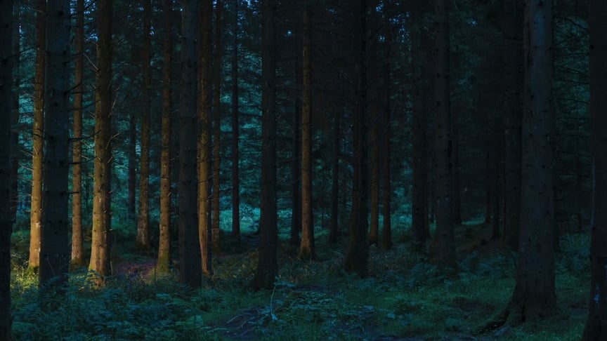 Dear Gravity • (arche)typical (Official Video)