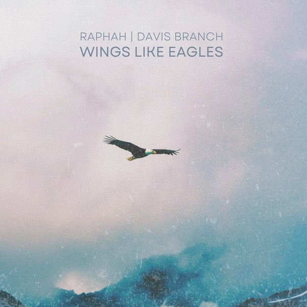 Wings Like Eagles image