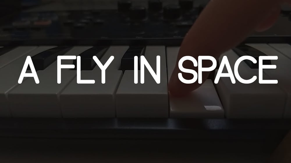 a Fly in Space - Original Song