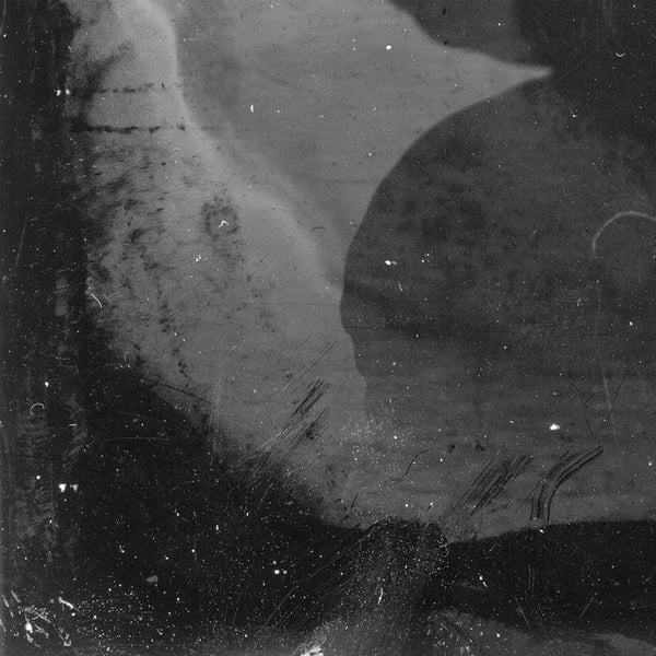 Vanessa image