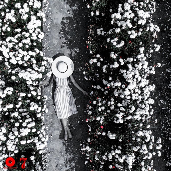 Lying to Me (feat. Cymatics) [Radio Edit] image