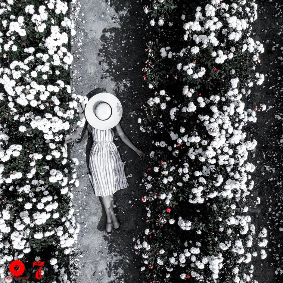 Lying to Me (feat. Cymatics) [Radio Edit]