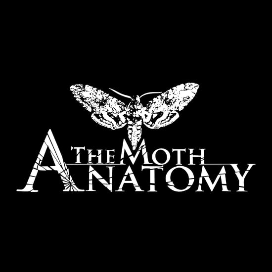 The Moth Anatomy