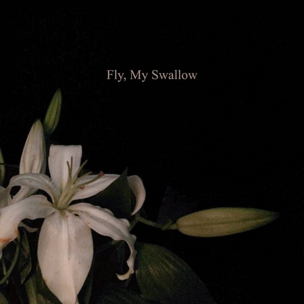 Fly, My Swallow image