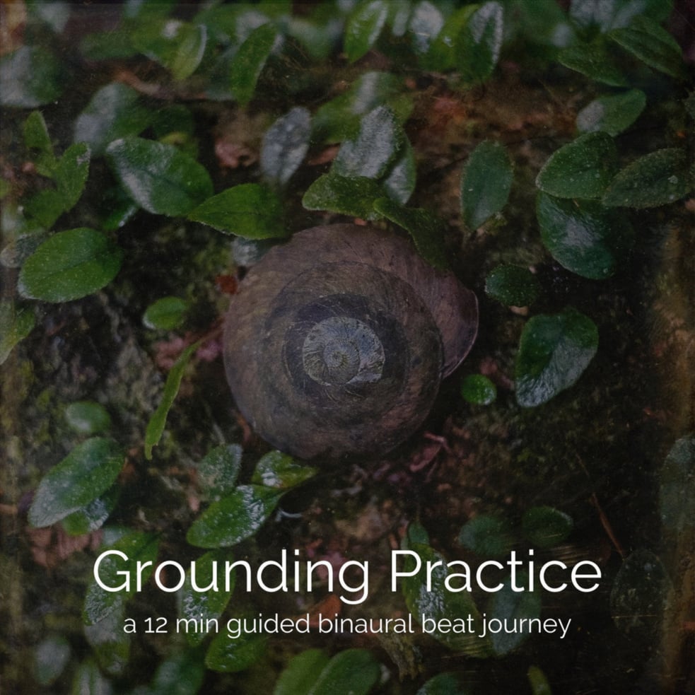 Grounding Practice
