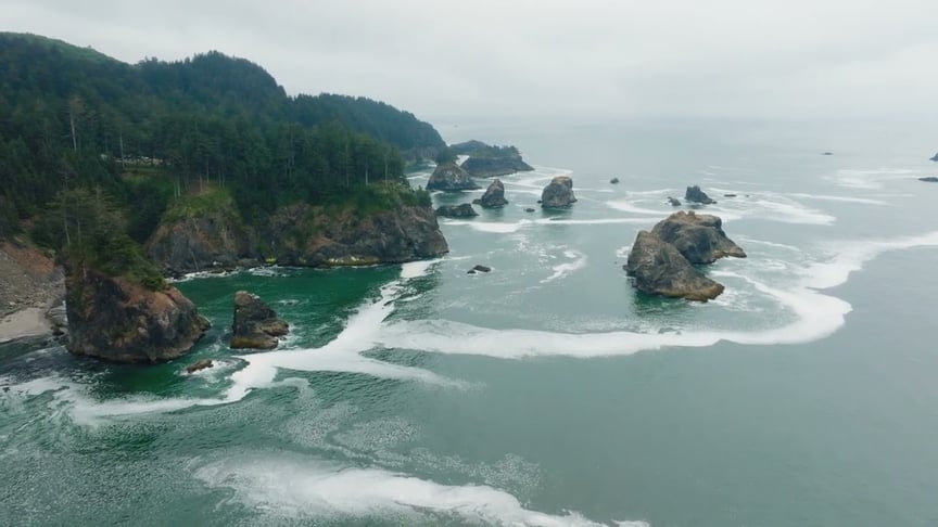 Dear Gravity & Music Within • Old Growth (Official Video)