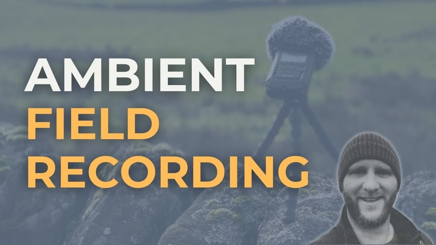 Making Field Recordings for Ambient Music - Nature's Soundscape