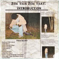 ZEM THIS, ZEM THAT: INTRODUCTION (INSTSURMENTAL)