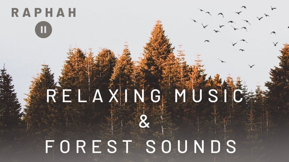 Relaxing Music with Forest Sounds - meditate, de-stress, sleep