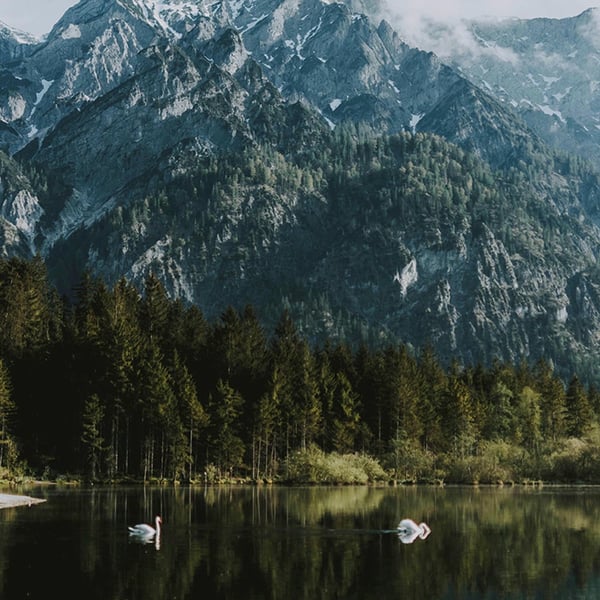 Land Of The Nowhere image