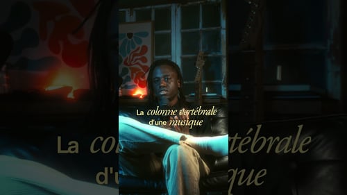 Connais-tu l’identité de ce caméléon ?