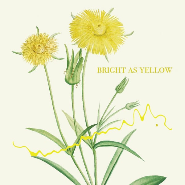 Bright as Yellow image