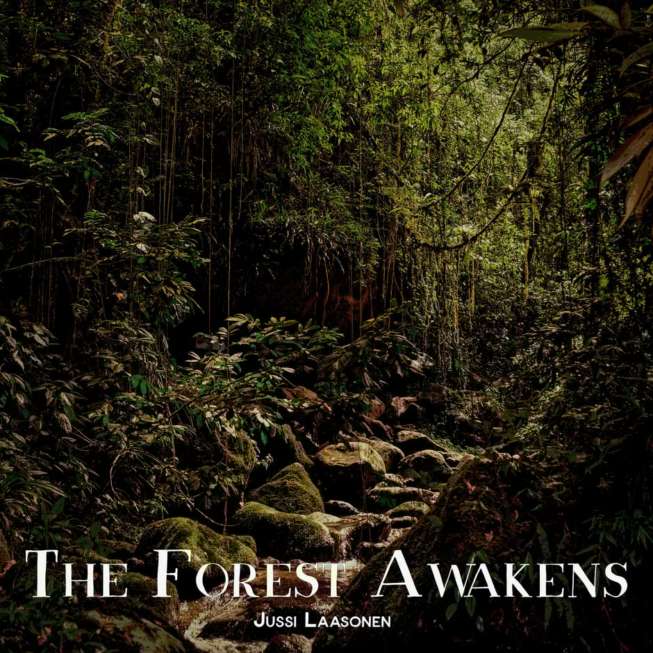The Forest Awakens