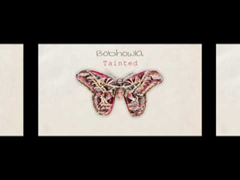 Bobhowla - Tainted | VR 360 LIVE Video