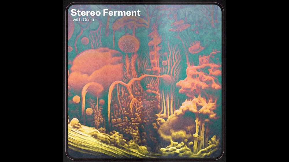 STEREO FERMENT #49: Boogie, Tropical, Afro, Disco