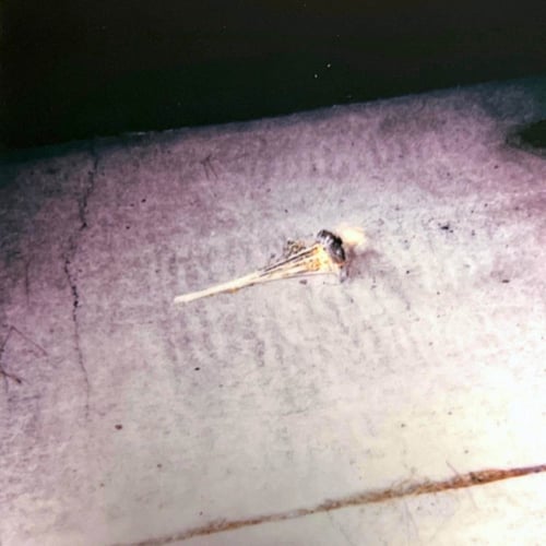 YOU ONLY LIVE FOREVER (B SIDE)